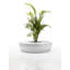 Vases Island Plastic Tree Bench-49039305