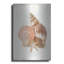 Highland Dunes «Floursack Nautical Shells 1» par Danhui Nai, art mural en métal-1051621460