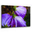 «Purple Rain» par Pamela Plummer-936616354