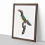 Green Aracari Toucan by Jacques Barraband - Framed Print-55575273-55575270