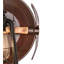 1 - Light Armed Sconce