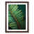 Walnut Framed