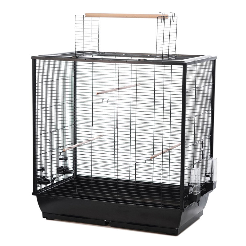 Bird Cage, Black