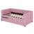 Rose est en rupture de stock