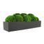 Nature's Nostalgia Moss Plant in Fiberstone Planter-1824800363-1824800356