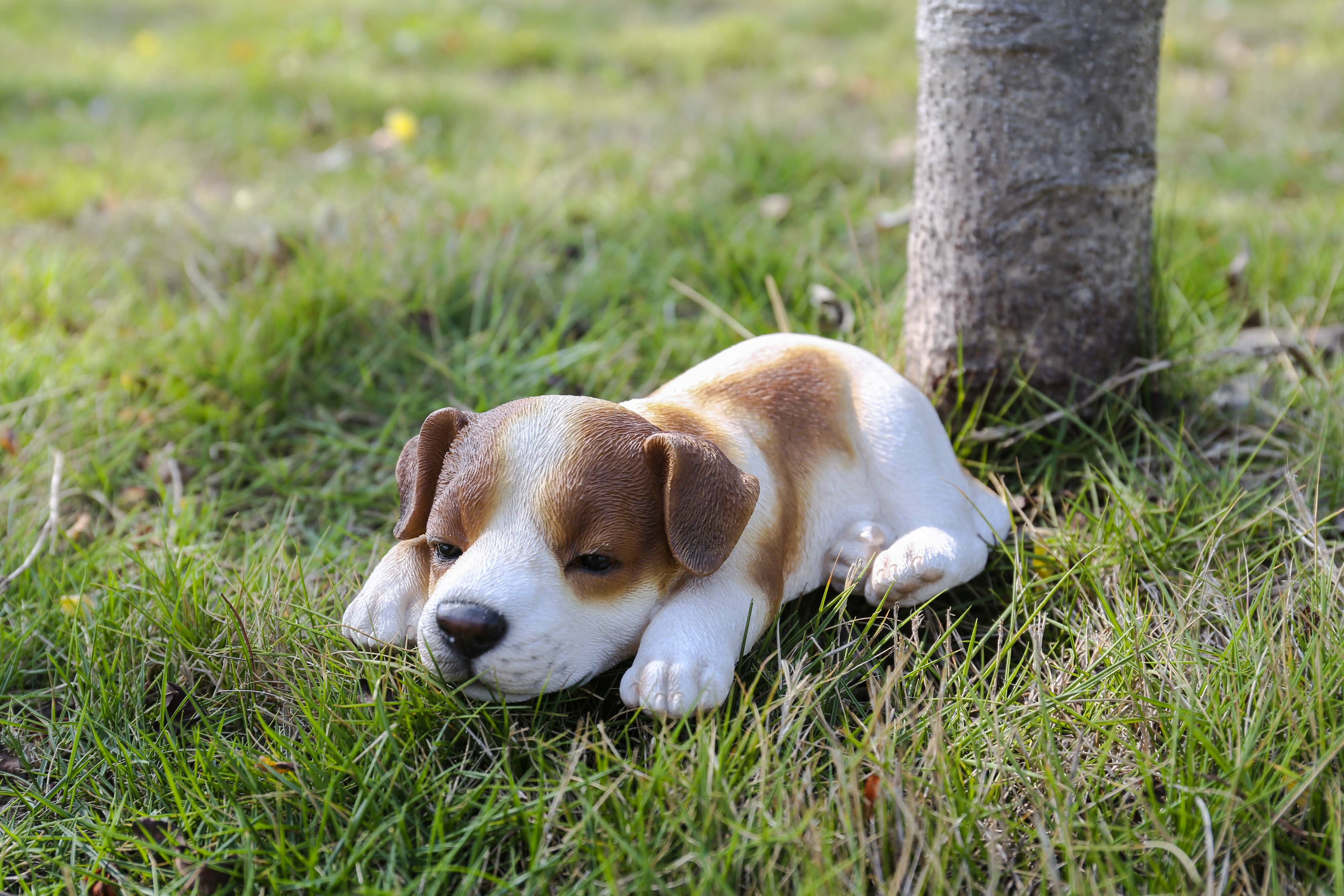 Hi-Line Gift Ltd. Jack Russell Puppy Sleeping Statue & Reviews | Wayfair