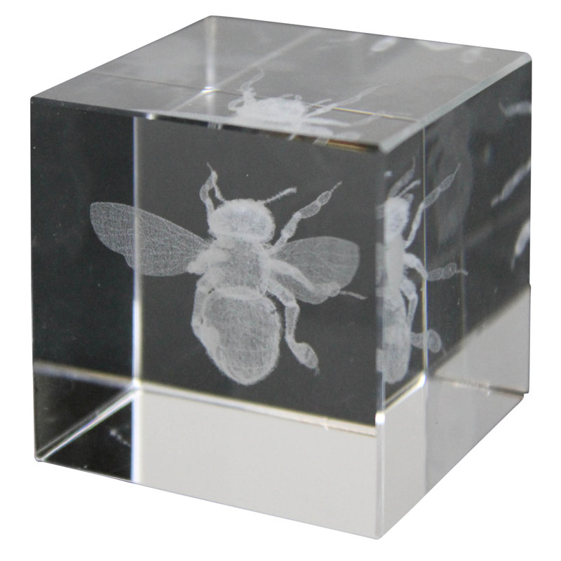 Kelsa Bee Hologram