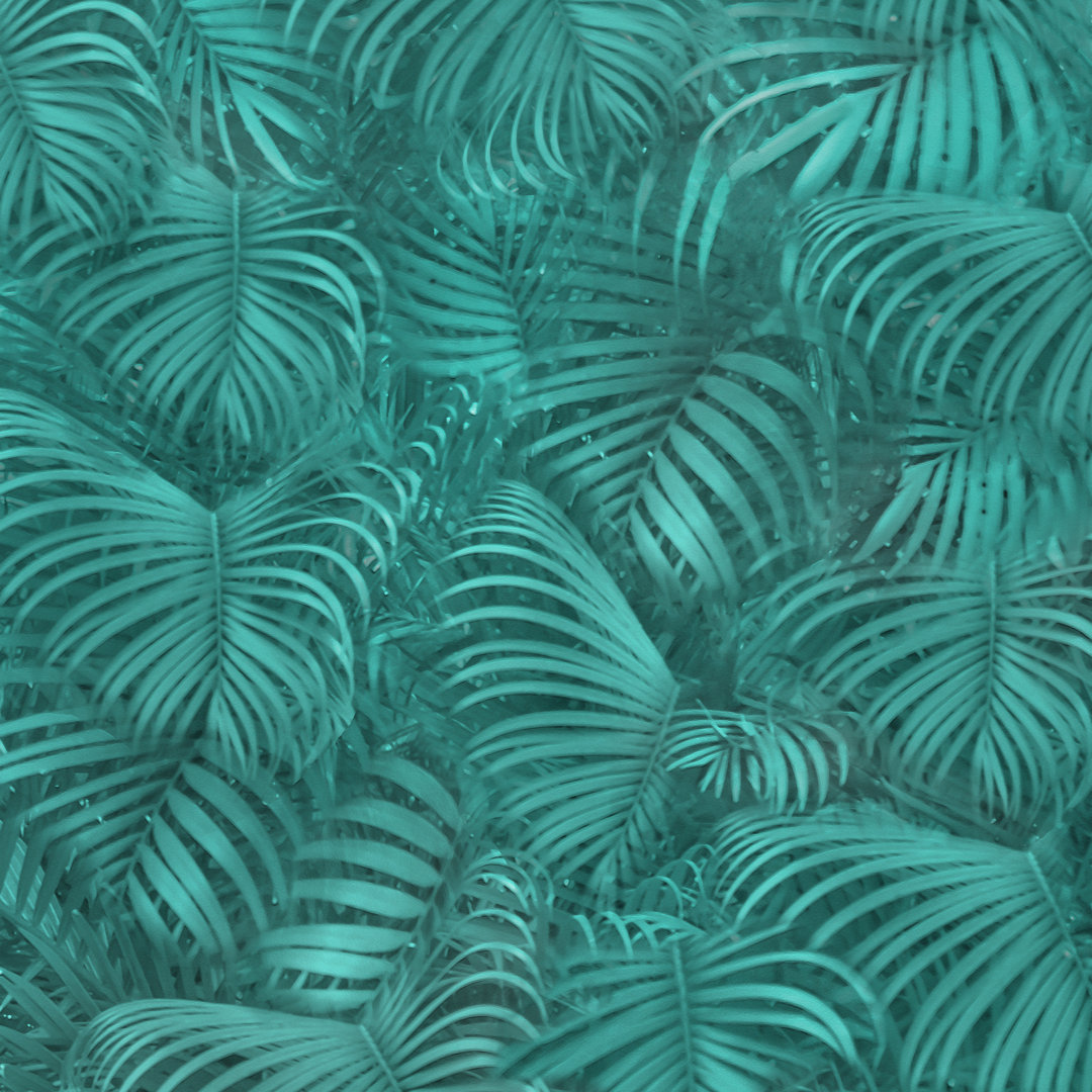 Leinwandbild Tropical Pattern von Rudimencial