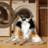 Washable Border Terrier Dogs Area Rug-444868683