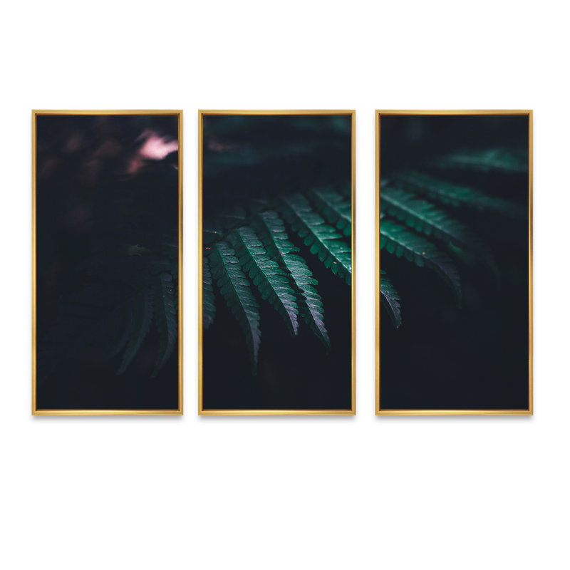 Feuilles de fougère vert foncé sur fond noir I - ensemble d'art mural sur toile tropical encadré de 3