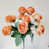 Apricot is out of stock