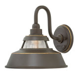 Troyer 1-Light Outdoor Wall Lantern