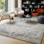 Oriental Area Rug-670106141