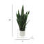 Plante de serpent artificielle Sansevieria en pot-264870796
