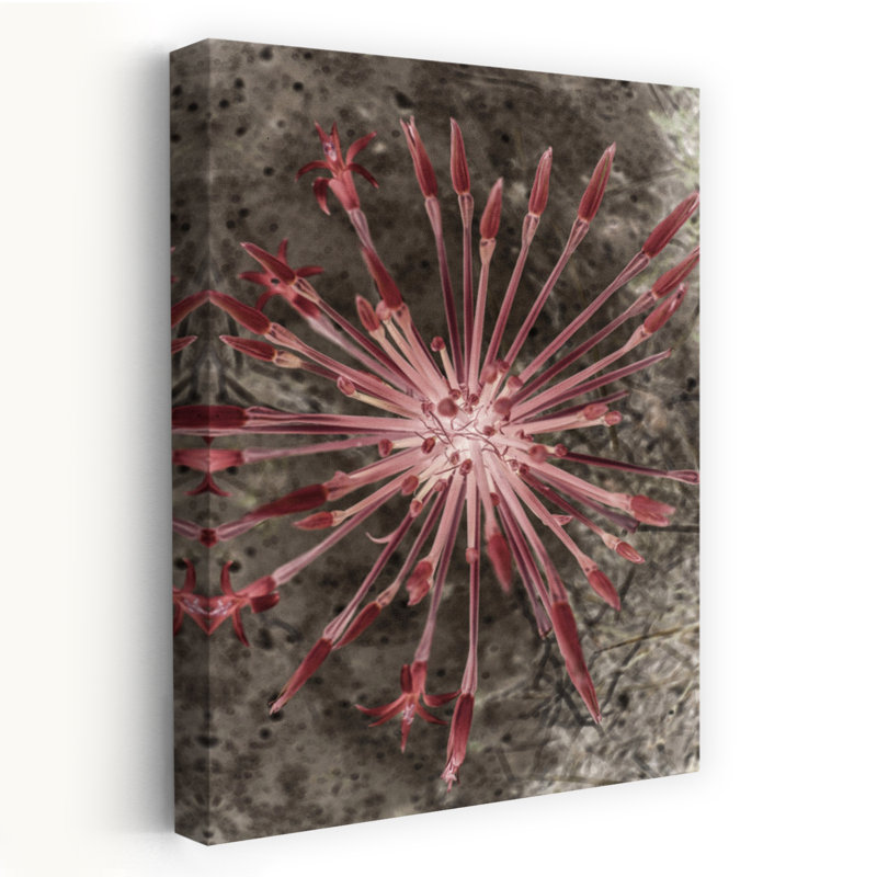 Art contemporain abstrait fleur moderne, H 36 po x l 24 po
