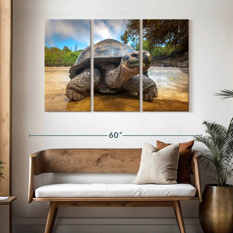 Galapagos Beach Tortoise, 32" H x 50" W