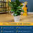Costa Farms Indoor Fiddle Leaf Fig Bush House Plant in 9.93" Self-watering Décor Pot