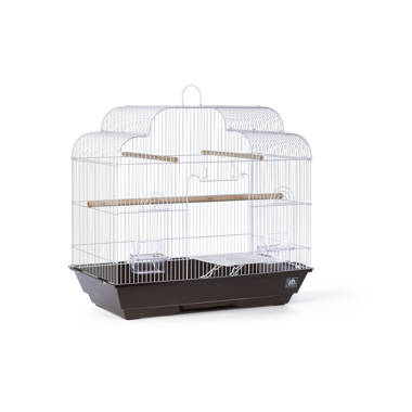 Tucker Murphy Pet™ Cerryn 32'' Pointed Top Table Top Bird Cage with Perch &  Reviews