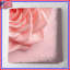 Couvre-lit matelassé rose rose-126174642