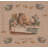 Cotton Blend Pillow Cover