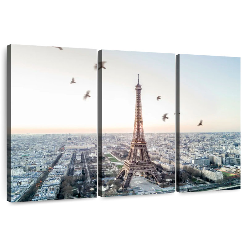 Oiseaux Nicci survolant Paris, H 42 po x l 65 po