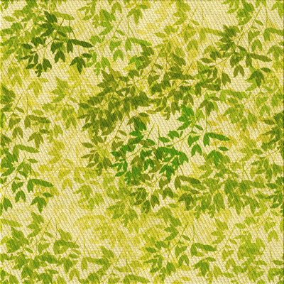Performance Floral Indoor Rug