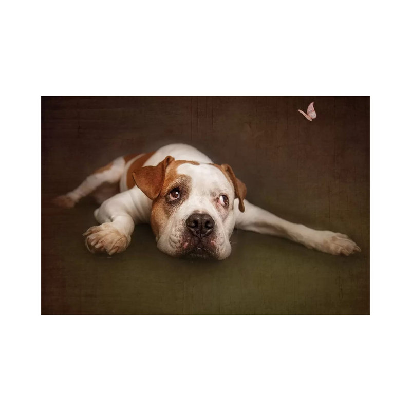 Illusion by Heike Willers - Wrapped Canvas Print, 30.48cm H x 45.72cm W x 1.91cm D