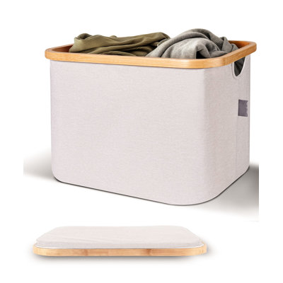 Plastic and Fabric Laundry Hamper