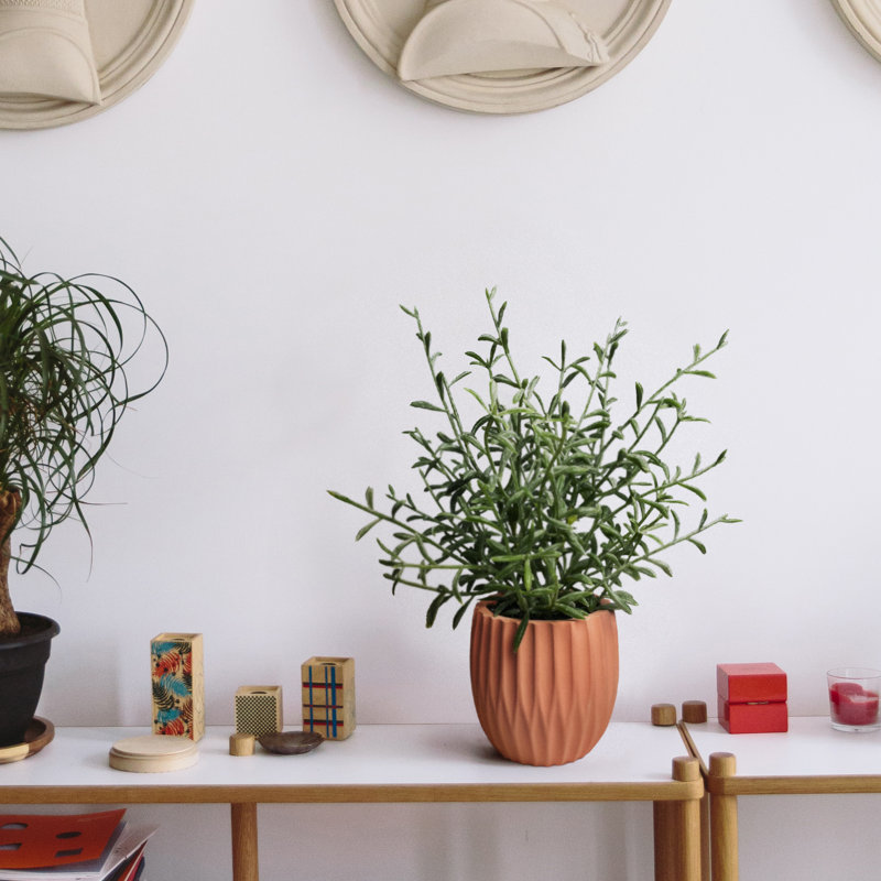 Plantes artificielles en pot