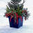Pot Planter
