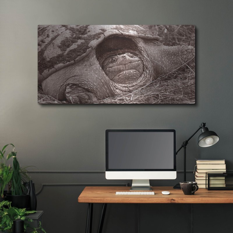 «Buffalo River 11» par Gordon Semmens, H 24 po x l 48 po