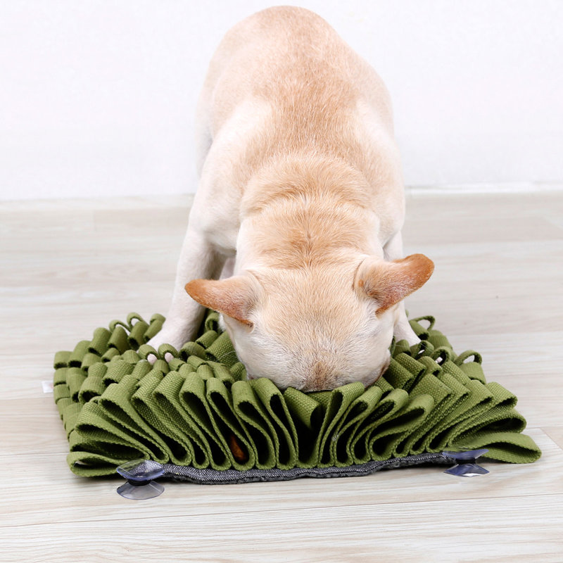 Tapis de jeu anti-dérapant pour animaux Pet Sniffer, Vert
