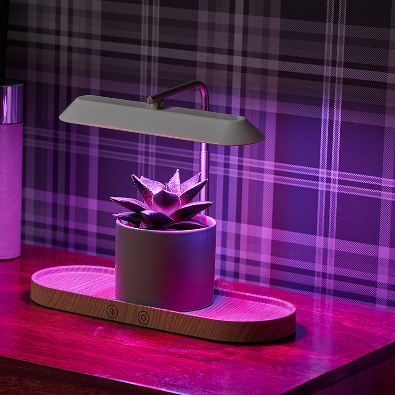 Tico Adjustable Wood USB Novelty Lamp