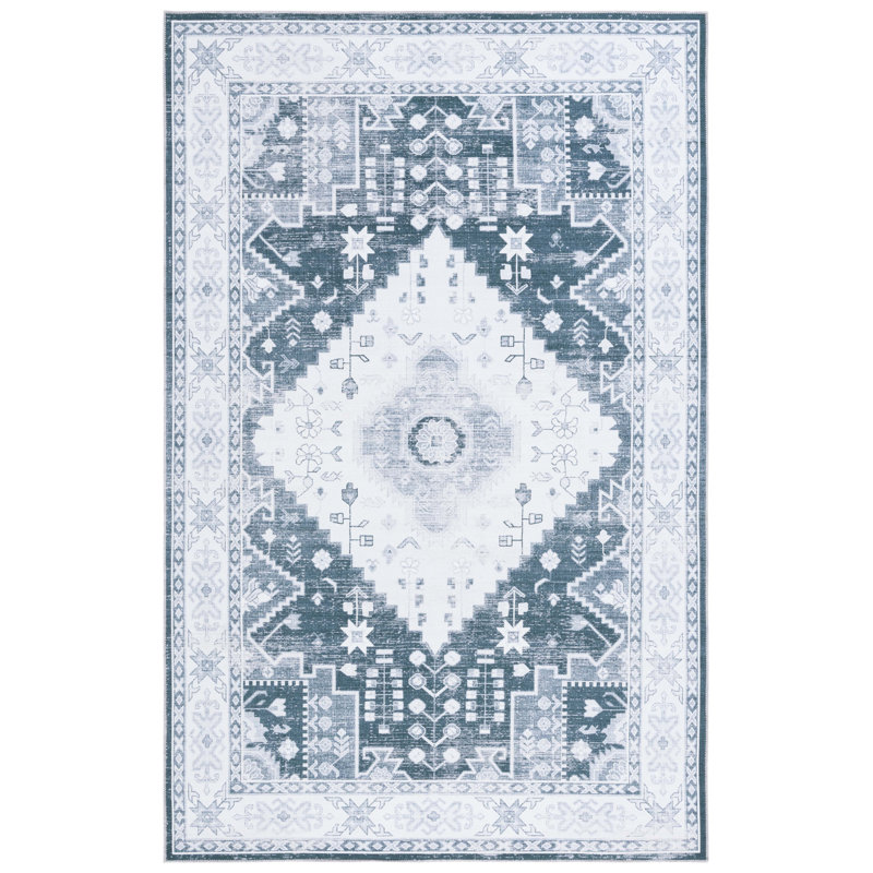 Meeghan Performance Machine Washable Oriental Rug, Rectangle 4' x 6'