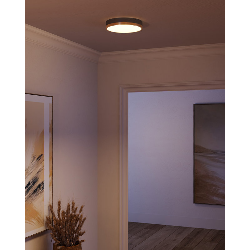 Orland Glass LED Flush Mount, 2" H x 11.13" W x 11.13" D, Aged Gold/Matte Black
