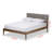 Chasitie Upholstered Platform Bed-189882686-212178041