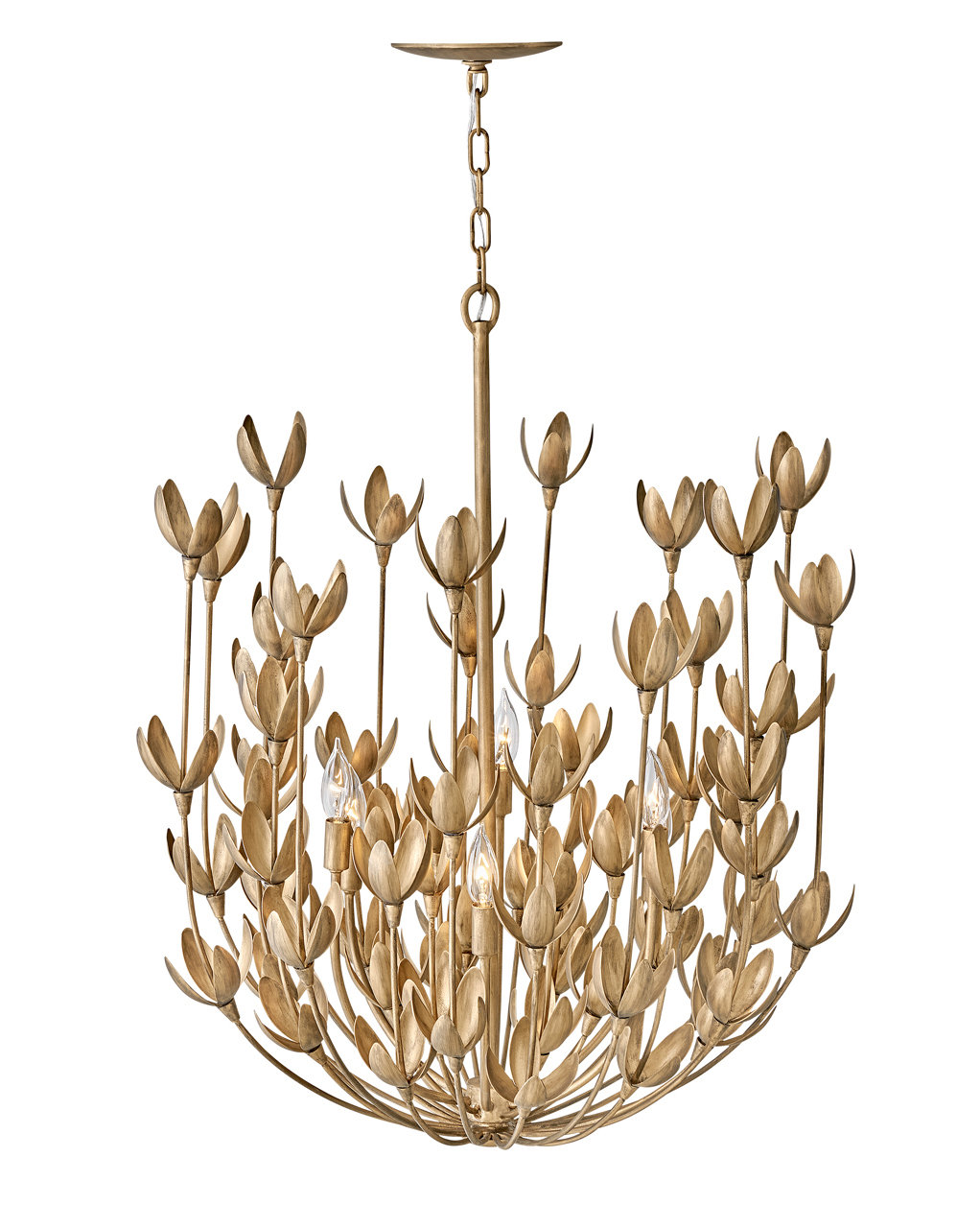 Lisa McDennon by Hinkley Flora Six-Light Multi-Tier Handmade Chandelier by Lisa McDennon & Reviews | Wayfair