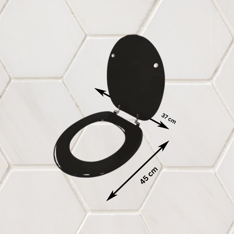 Actaeon Soft Close Elongated Standard Toilet Seat, Black