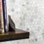 Calacatta Penny Rounds Polished Marble Tile