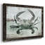 Neutre crabe I, reproduction d'art sur toile-211041753-211041750