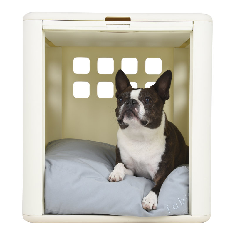 Plastic Pet Crate with 1 Door