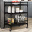 Newfolden Metal Bar Cart-1993835343