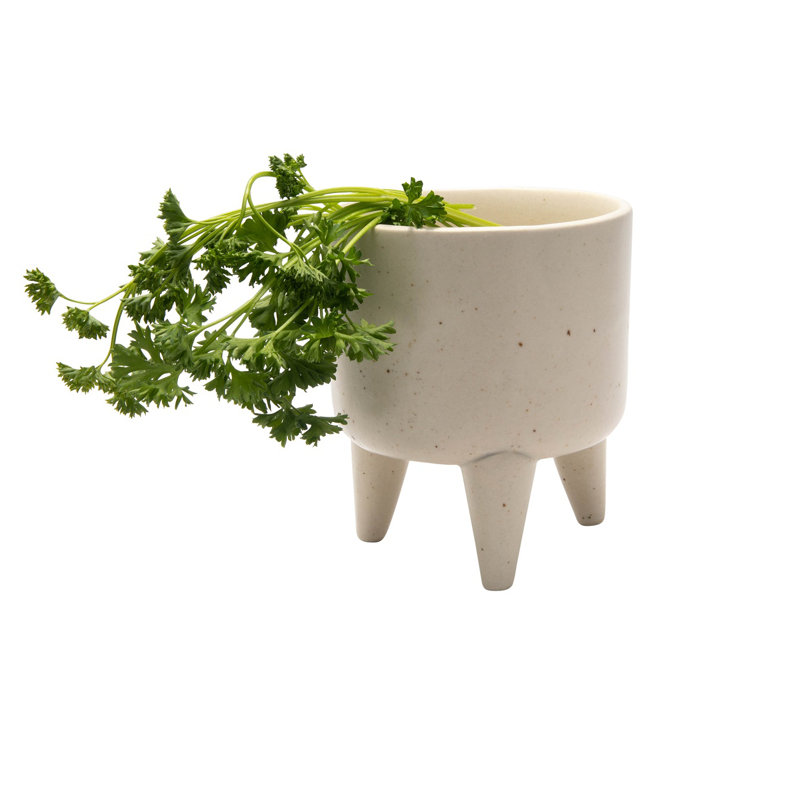 Bol décoratif en céramique Omari, Crème