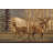 Tapis brun et beige de style Sud-Ouest-43363452