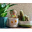 Ceramic Planter