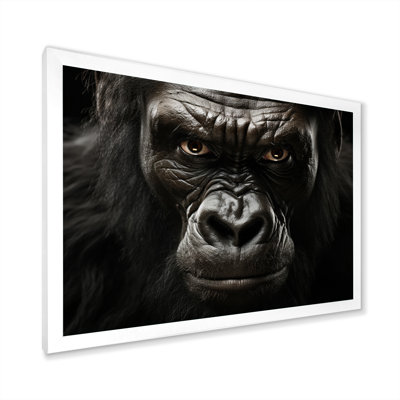 " Africa Gorillas Majesty "