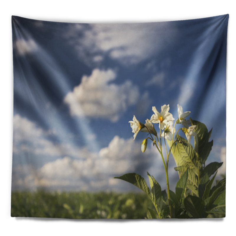 Tapisserie de fleurs en polyester avec accessoires suspendus inclus, H 68 po x l 80 po