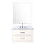 Meuble-lavabo blanc l 30 po x P 22 po avec comptoir en marbre, robinet et miroir Bain en blanc, dessus, inclus-2016891786