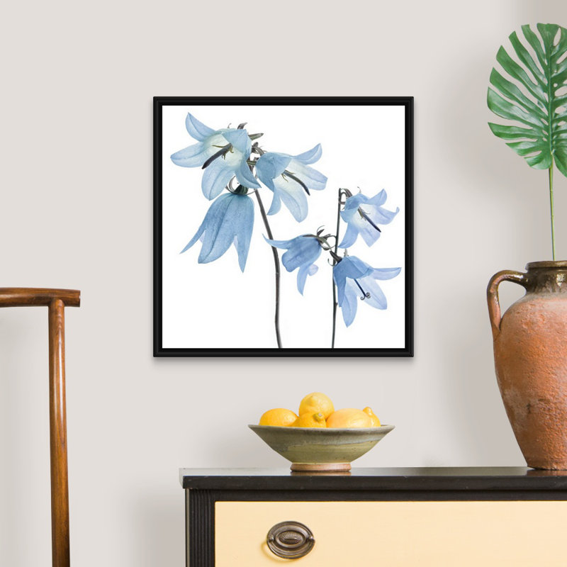 «Gorgeous Blue IV», reproduction d'art sur toile, Cadre flottant noir, H 21,7 po x l 21,7 po x P 1,75 po
