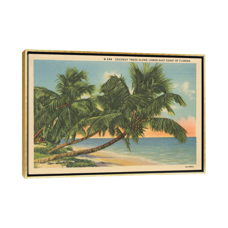 Carte postale de Floride III - impression d'art graphique, Toile encadrée d'or, H 32 po x l 48 po x 1,5 po, Aucun mat